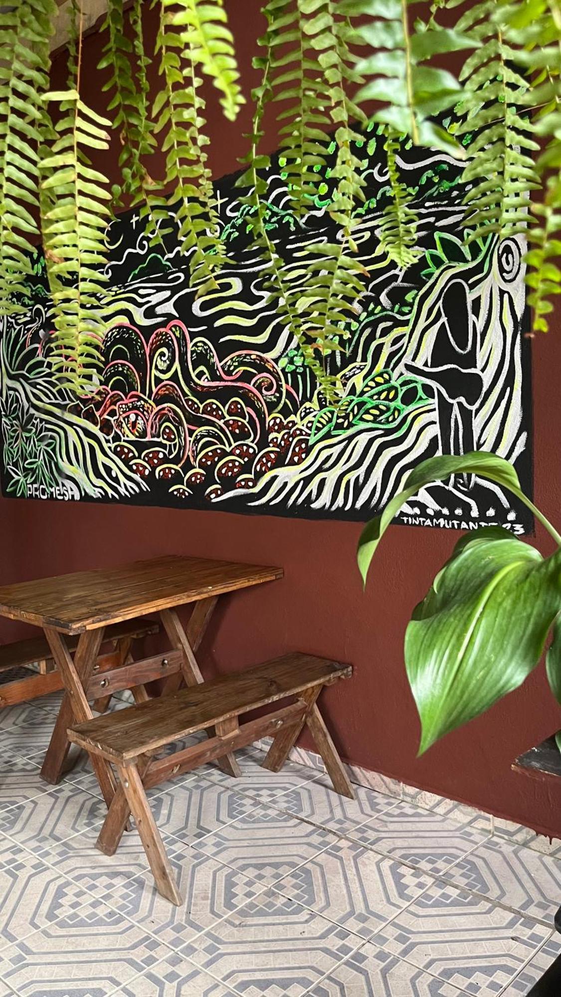 Hostel Embauba Araquari Dış mekan fotoğraf