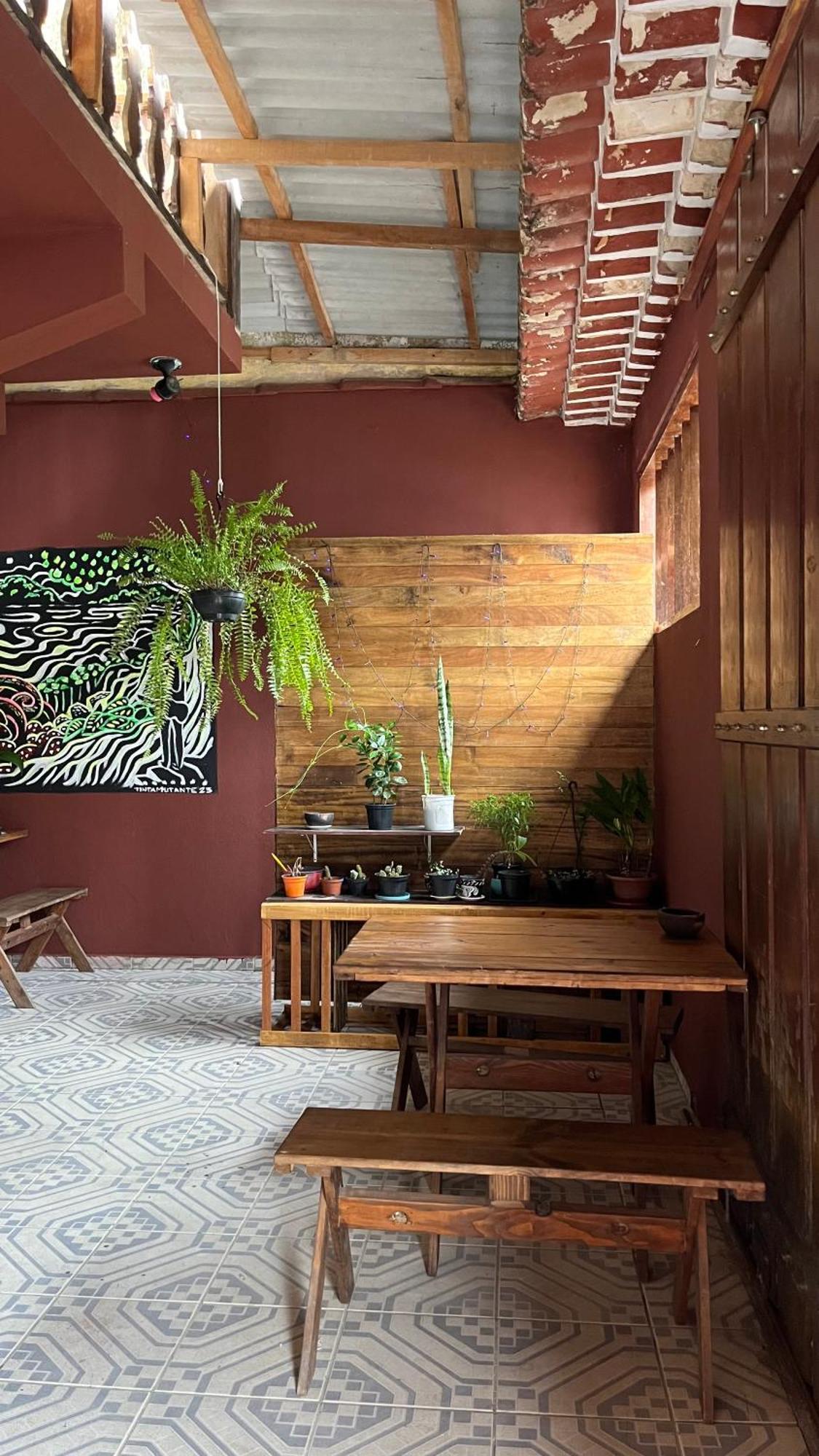 Hostel Embauba Araquari Dış mekan fotoğraf