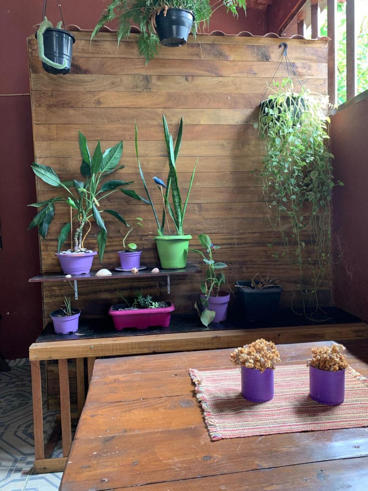 Hostel Embauba Araquari Dış mekan fotoğraf